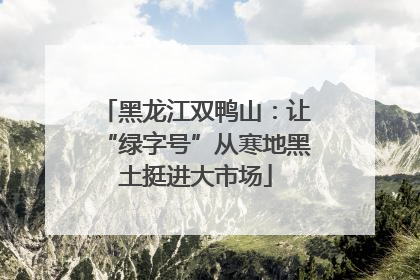 黑龙江双鸭山：让“绿字号”从寒地黑土挺进大市场