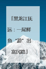 黑龙江抚远：一尾鲜鱼“游”出富民路