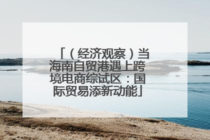 （经济观察）当海南自贸港遇上跨境电商综试区：国际贸易添新动能