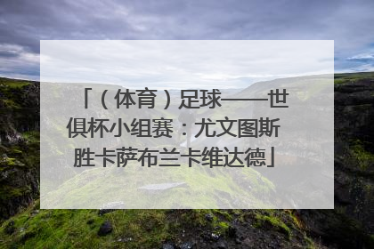 （体育）足球——世俱杯小组赛：尤文图斯胜卡萨布兰卡维达德