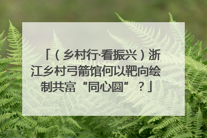 （乡村行·看振兴）浙江乡村弓箭馆何以靶向绘制共富“同心圆”？