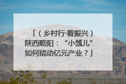 （乡村行·看振兴）陕西略阳：“小瓢儿”如何撬动亿元产业？