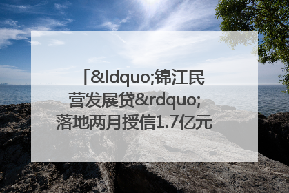 “锦江民营发展贷”落地两月授信1.7亿元，惠及118家民企