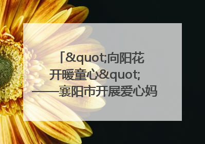 "向阳花开暖童心"——襄阳市开展爱心妈妈结对关爱留守困境儿童庆"六一"活动
