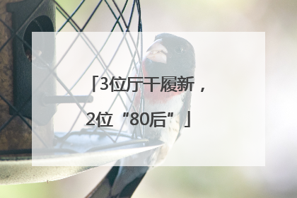 3位厅干履新，2位“80后”