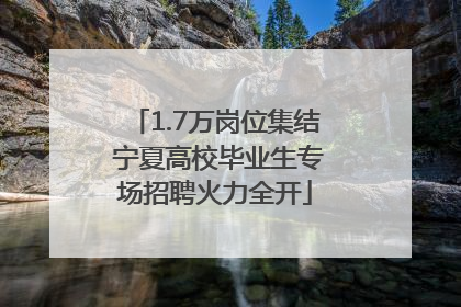 1.7万岗位集结 宁夏高校毕业生专场招聘火力全开