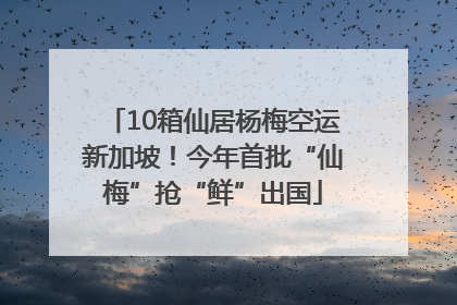 10箱仙居杨梅空运新加坡！今年首批“仙梅”抢“鲜”出国