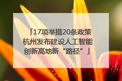17项举措20条政策 杭州发布建设人工智能创新高地新“路径”