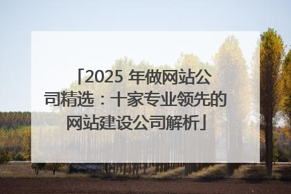 2025 年做网站公司精选：十家专业领先的网站建设公司解析