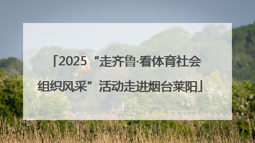 2025“走齐鲁·看体育社会组织风采”活动走进烟台莱阳