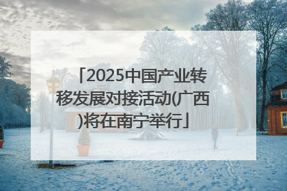 2025中国产业转移发展对接活动(广西)将在南宁举行