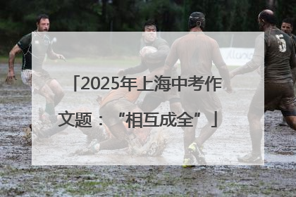 2025年上海中考作文题：“相互成全”