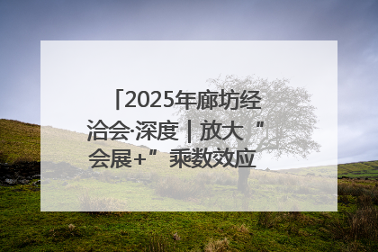 2025年廊坊经洽会·深度｜放大“会展+”乘数效应 打造消费新场景
