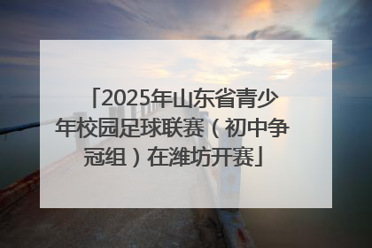 2025年山东省青少年校园足球联赛（初中争冠组）在潍坊开赛