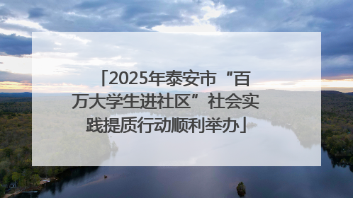 2025年泰安市“百万大学生进社区”社会实践提质行动顺利举办