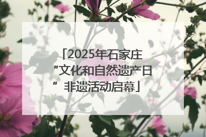 2025年石家庄“文化和自然遗产日”非遗活动启幕