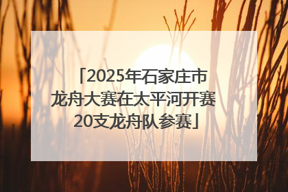 2025年石家庄市龙舟大赛在太平河开赛 20支龙舟队参赛