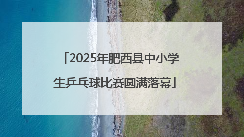 2025年肥西县中小学生乒乓球比赛圆满落幕