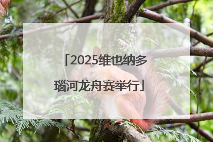 2025维也纳多瑙河龙舟赛举行