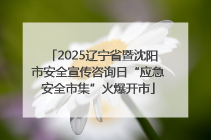 2025辽宁省暨沈阳市安全宣传咨询日“应急安全市集”火爆开市