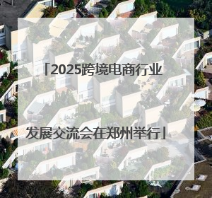 2025跨境电商行业发展交流会在郑州举行