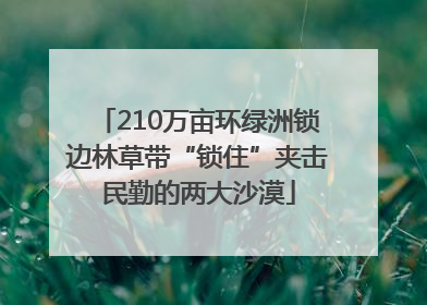 210万亩环绿洲锁边林草带“锁住”夹击民勤的两大沙漠