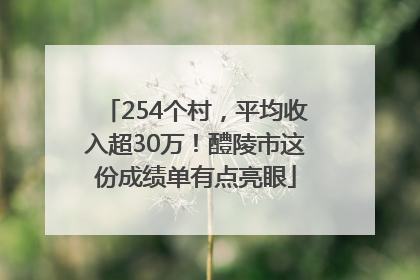 254个村，平均收入超30万！醴陵市这份成绩单有点亮眼