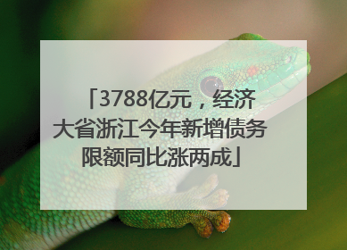 3788亿元，经济大省浙江今年新增债务限额同比涨两成