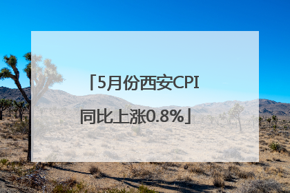 5月份西安CPI同比上涨0.8%