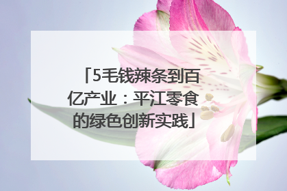 5毛钱辣条到百亿产业：平江零食的绿色创新实践