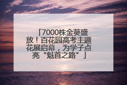 7000株金葵盛放！百花园高考主题花展启幕，为学子点亮“魁首之路”