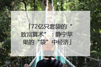 72亿只套袋的“致富算术”：静宁苹果的“袋”中经济