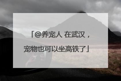 @养宠人 在武汉，宠物也可以坐高铁了