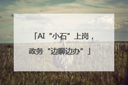 AI“小石”上岗，政务“边聊边办”
