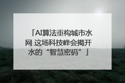 AI算法重构城市水网 这场科技峰会揭开水的“智慧密码”
