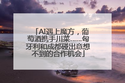 AI遇上魔方，葡萄酒携手川菜……匈牙利和成都碰出意想不到的合作机会